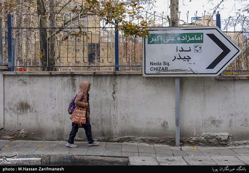 باربری چیذر